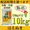 【ふるさと納税】 米 10kg はえぬき 新米 精米 玄米 令和2年産 山形県村山市産 送料無料