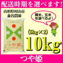 【ふるさと納税】 米 10kg 5kg×2 つや姫 精米 玄...