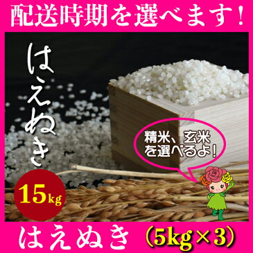 【ふるさと納税】 米 15kg 5kg×3 はえぬき 精米 玄米 令和元年産 山形県村山市産 送料無料 015-d92