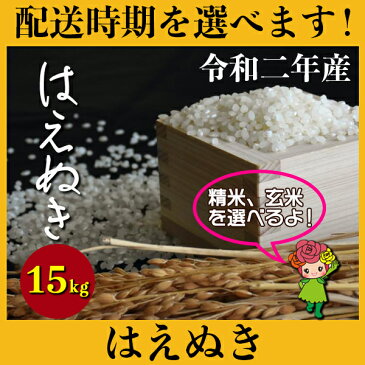 【ふるさと納税】 米 15kg 5kg×3 はえぬき 新米 精米 玄米 令和2年産 2020年産 山形県村山市産 送料無料 先行予約 015-d93