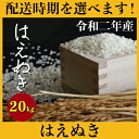 【ふるさと納税】 米 20kg 5kg×4 はえぬき 新米