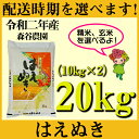【ふるさと納税】 米 20kg 10kg×2 はえぬき 新米