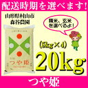 【ふるさと納税】 米 20kg 5kg×4 つや姫 精米 玄