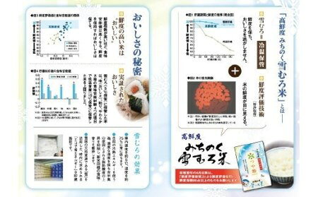 【ふるさと納税】米 雪むろ米 つや姫 5kg 2025年産 令和7年産 精米 送料無料※沖縄・離島への配送不可