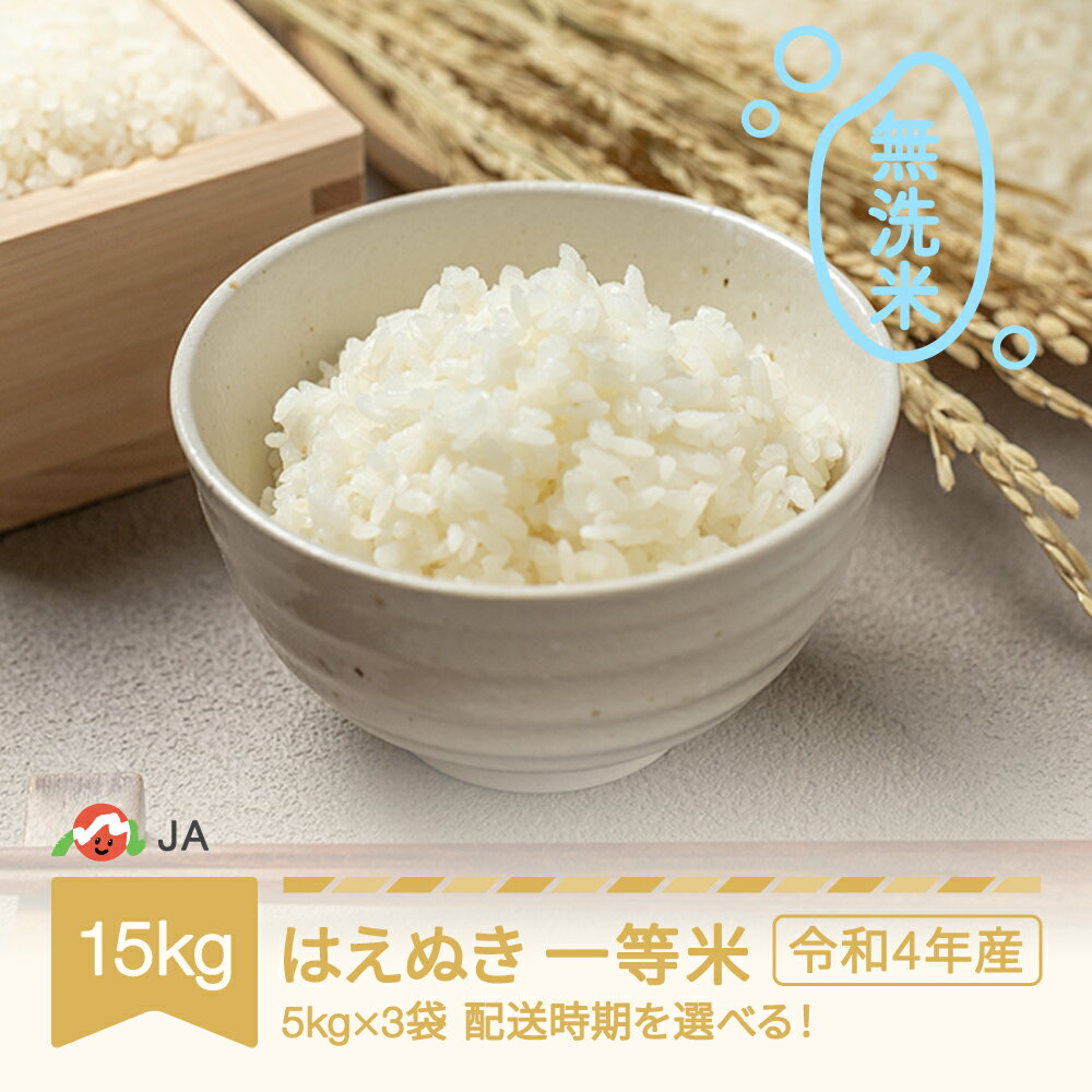 【ふるさと納税】 米 15kg 5kg×3 はえぬき 無洗米 令和4年産 2022年...