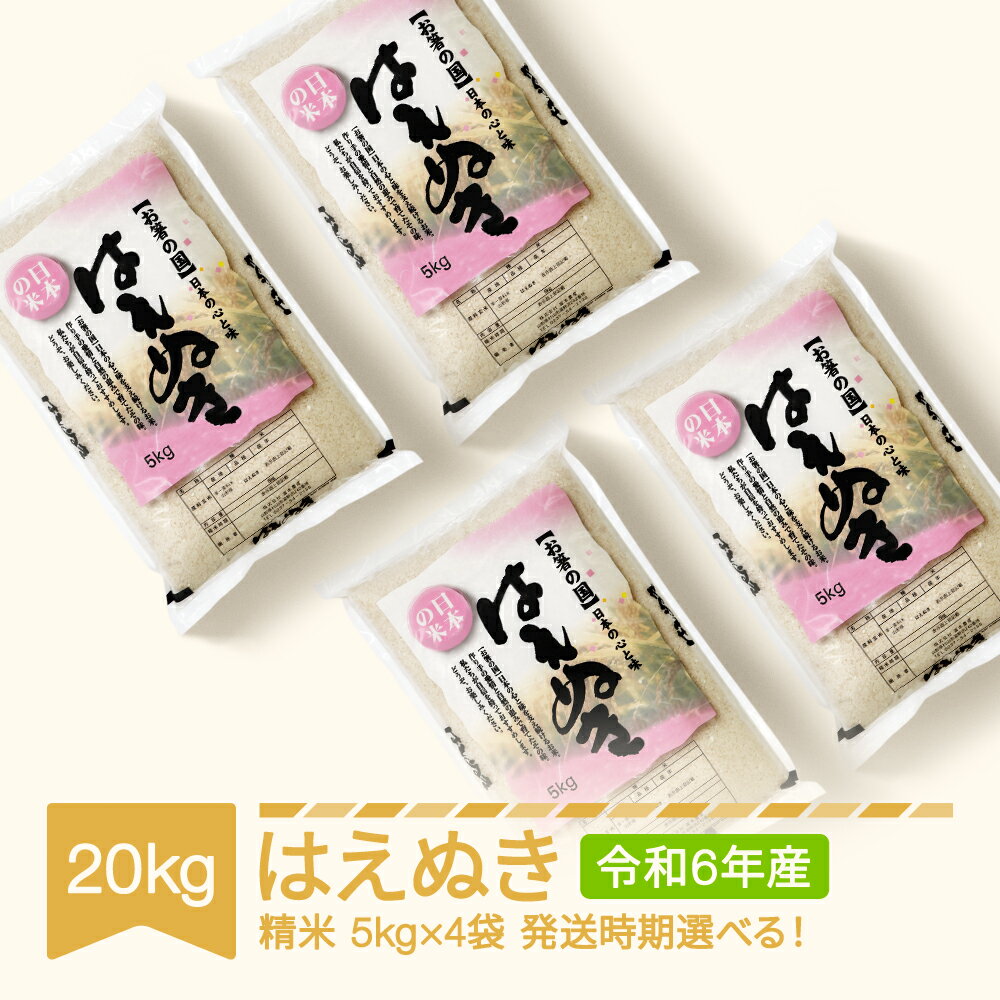 【ふるさと納税】米 20kg 10kg×2 はえぬき 精米 お米 おこめ 令和6年産 2024年産 山形県村山市産 送料無料のサムネイル