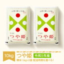 【ふるさと納税】米 10kg 5kg×2 つや姫 特別栽培米 精米 令和5年産 山形県村山市産 送料無料