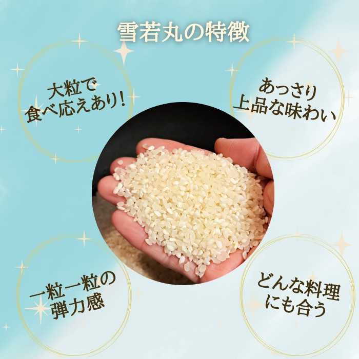 【ふるさと納税】米 コメ 5kg 雪若丸 精米 米 令和7年産 2025年産 山形県村山市産 no-ywxxx5 送料無料 ※沖縄・離島への配送不可