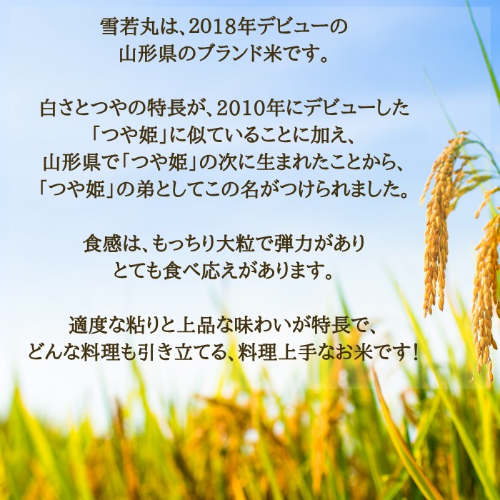 【ふるさと納税】米 コメ 5kg 雪若丸 精米 米 令和7年産 2025年産 山形県村山市産 no-ywxxx5 送料無料 ※沖縄・離島への配送不可