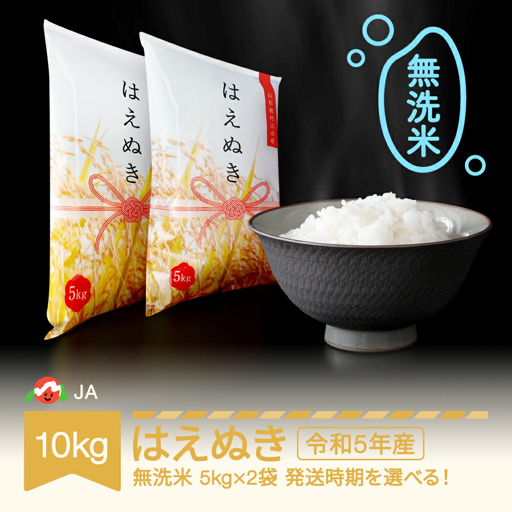 【ふるさと納税】 米 10kg 5kg×2 はえぬき 無洗米
