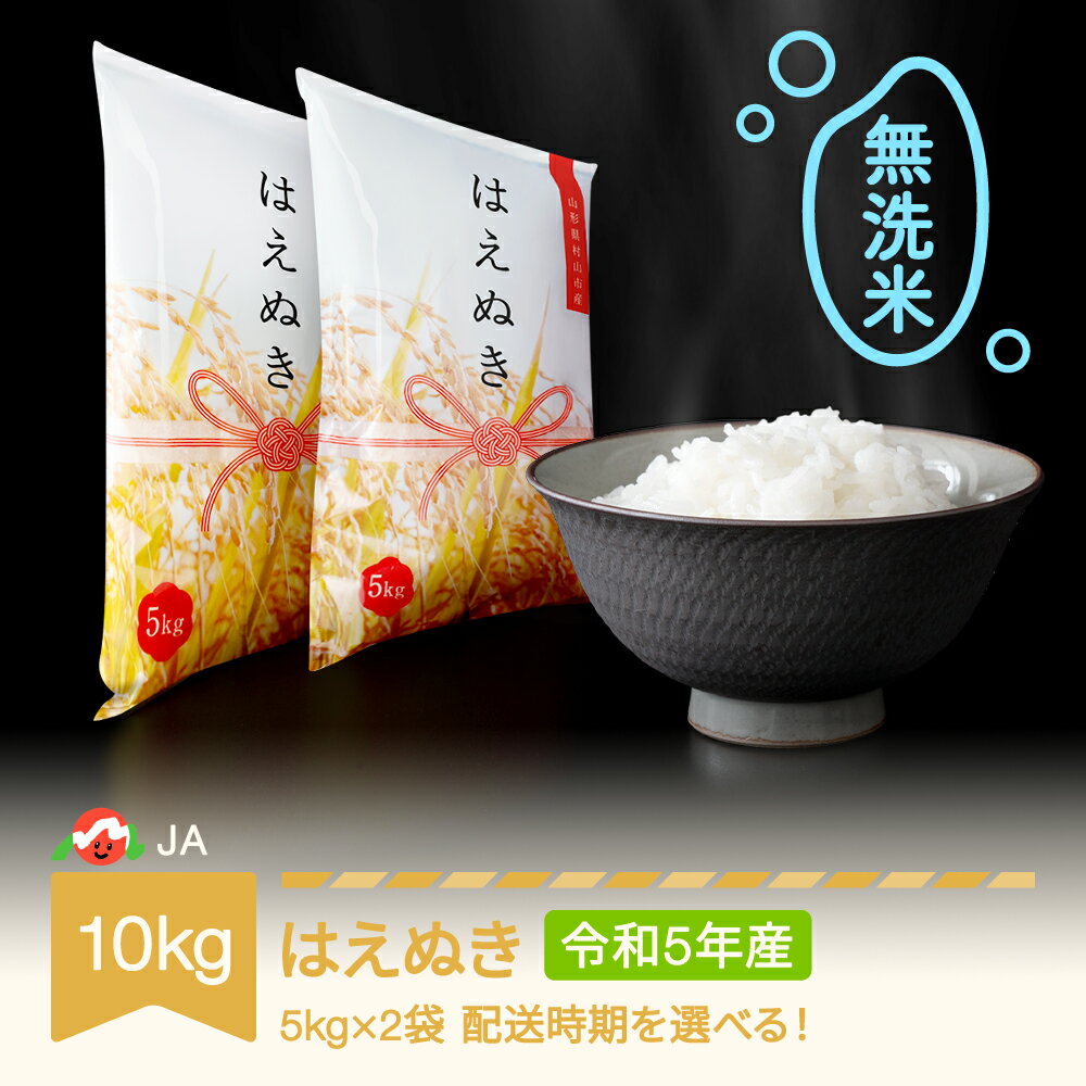 【ふるさと納税】 米 10kg 5kg×2 はえぬき 無洗米 令和5年産 山形県村山市産 送料無料※沖縄・離島への配送不可