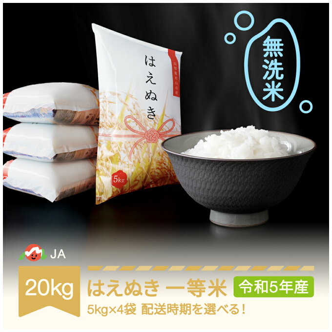 【ふるさと納税】 米 新米 20kg 5kg×4 はえぬき 無洗米 令和5年産 山形県村山市産 送料無料※沖縄・離島への配送不可