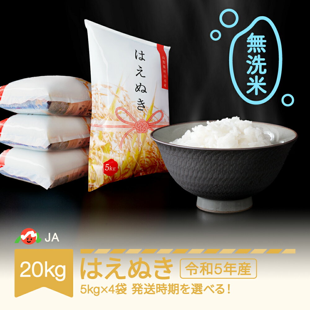 【ふるさと納税】 米 20kg 5kg×4 はえぬき 無洗米 令和5年産 山形県村山市産 送料無料※沖縄・離島への...