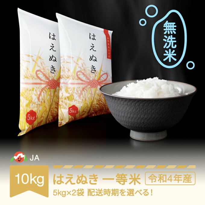 【ふるさと納税】 米 10kg 5kg×2 はえぬき 無洗米 令和4年産 2022年産 山形県村山市産 送料無料※沖縄・離島への配送不可