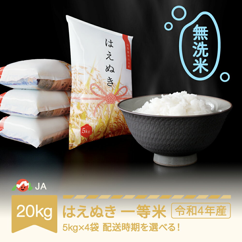 【ふるさと納税】 米 20kg 5kg×4 はえぬき 無洗米 令和4年産 2022年...