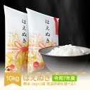 【ふるさと納税】 【先行予約】 新米 米 10kg 5kg×2 はえぬき 精米 令和7年産 2025年産 山形県村山市産 送料無料※沖縄・離島への配送不可