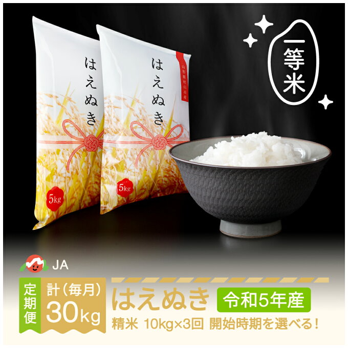 【ふるさと納税】 米 新米 はえぬき 毎月定期便 10kg×3回 精米 令和5年産 2023年産 山形県村山市産 送料無料※沖縄・離島への配送不可