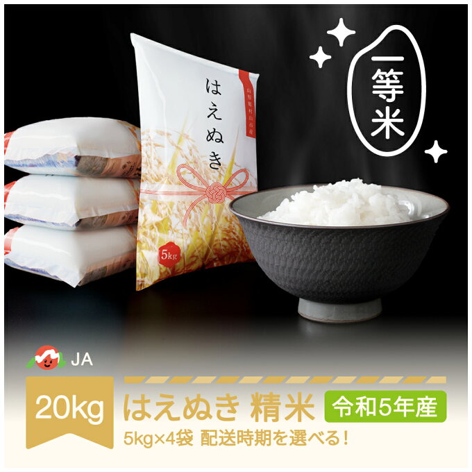 【ふるさと納税】 米 新米 20kg 5kg×4 はえぬき 精米 令和5年産 202...