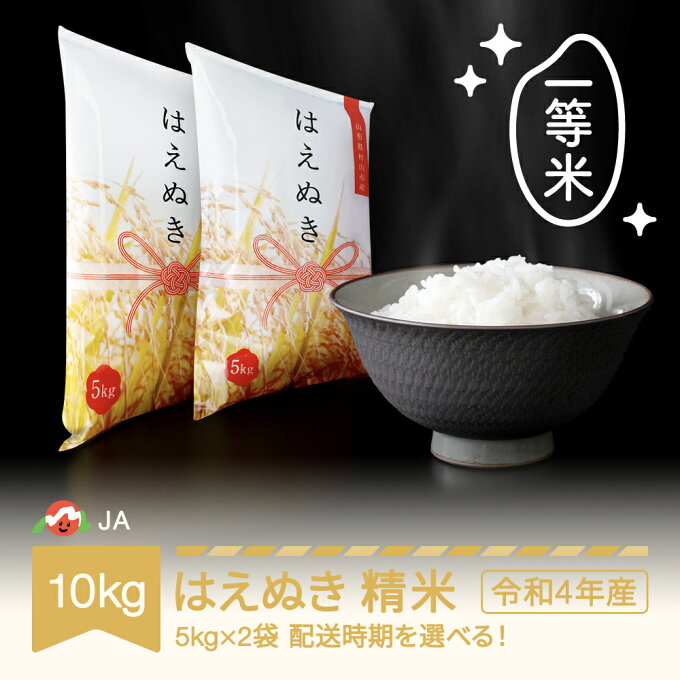 【ふるさと納税】 米 10kg 5kg×2 はえぬき 精米 令和4年産 2022年産...