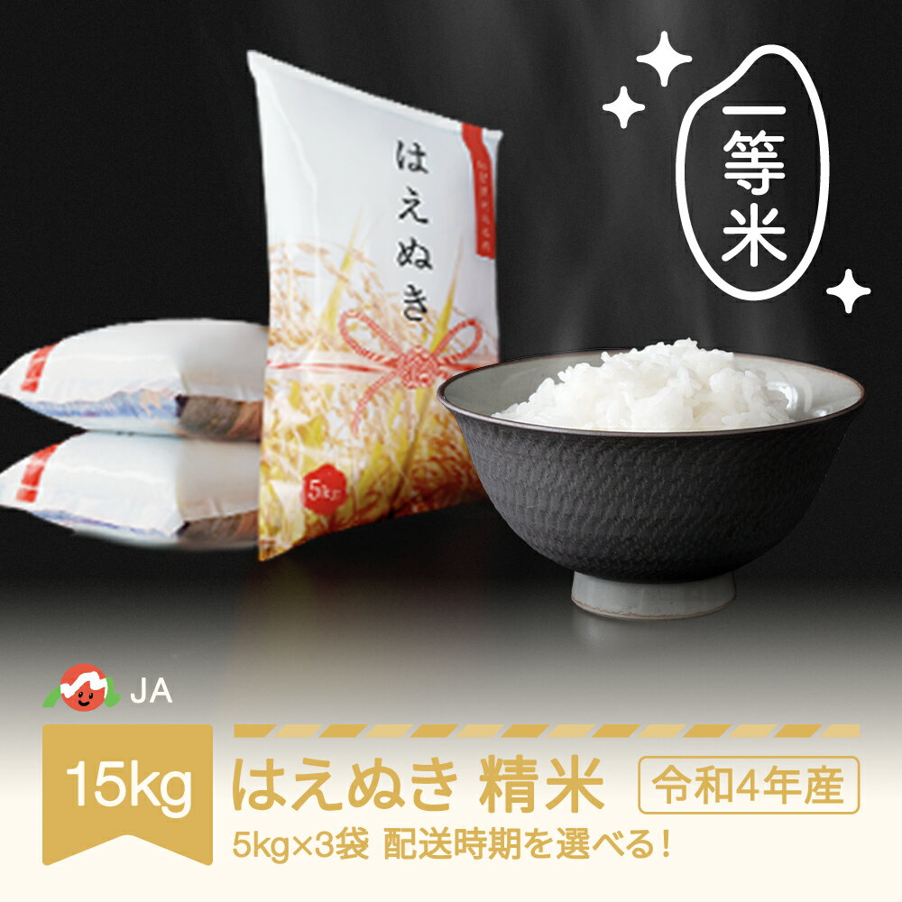 【ふるさと納税】 米 15kg 5kg×3 はえぬき 精米 令和4年産 2022年産...