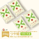 【ふるさと納税】 米 20kg 5kg×4 つや姫 精米 令和5年産 2023年産 山形県村山市産 送料無料※沖縄 離島への配送不可