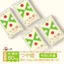 【ふるさと納税】 米 つや姫 隔月定期便 20kg×3回 精米 令和5年産 2023年産 山形県村山市産 送料無料※沖縄 離島への配送不可