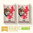  もち米 餅米 10kg 5kg×2 わたぼうし 令和5年産 2023年産 山形県村山市産