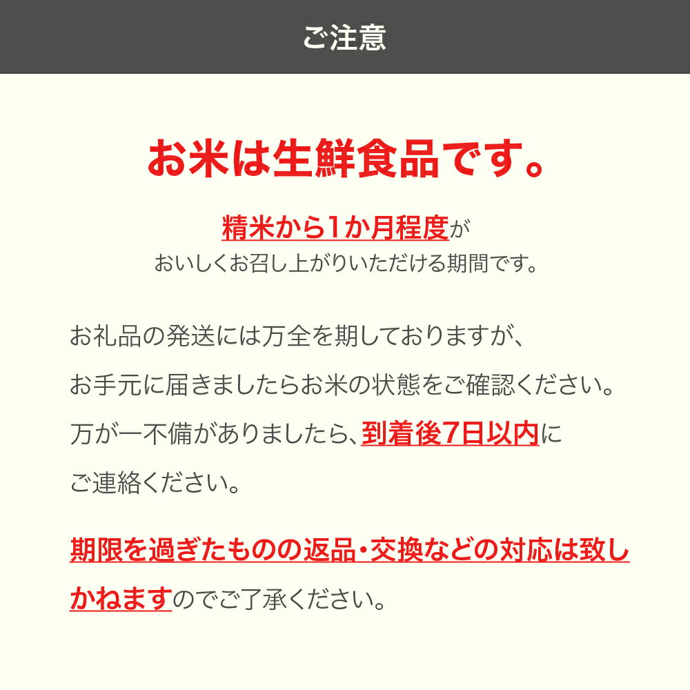 【ふるさと納税】 もち米 餅米 10kg 5kg×2 わたぼうし 令和5年産 2023年産 山形県村山市産