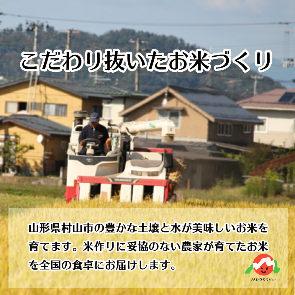 【ふるさと納税】 米 20kg 5kg×4 雪若丸 精米 令和4年産 2022年産 山形県村山市産 送料無料※沖縄・離島への配送不可