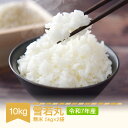 【先行予約】 【ふるさと納税】 新米 米 10kg 雪若丸 精米 令和7年産 2025年産 山形県村山市産 送料無料※沖縄・離島への配送不可