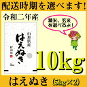 【ふるさと納税】 米 10kg 5kg×2 はえぬき 新米 精米 玄米 令和2年産 2020年産 山形県村山市産 送料無料 先行予約