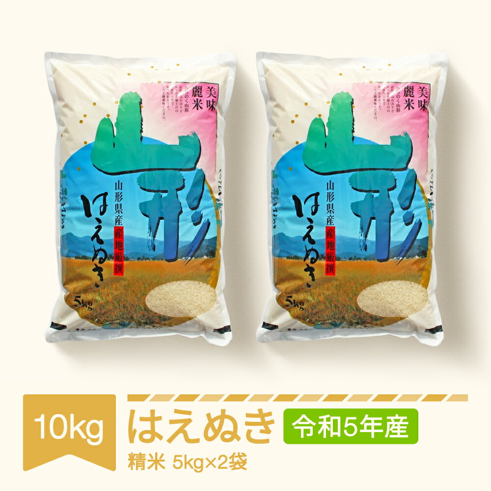 【ふるさと納税】米 はえぬき 10kg 2023年産 令和5年産 山形県村山市産 ※沖縄・離島への配送不可