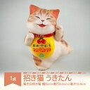 10位! 口コミ数「0件」評価「0」招き猫「うきたん」山形バージョン 誕生日招き猫 もりわじん作 工芸品 陶器 人形 オブジェ 置物 ギフト プレゼント mw-kgmnu