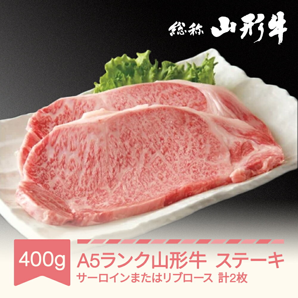 山形牛 肉 ステーキ A5 2枚 計400g 和牛 国産 山形セレクション認定 送料無料 黒毛和牛 焼肉 バーベキュー BBQ 牛肉