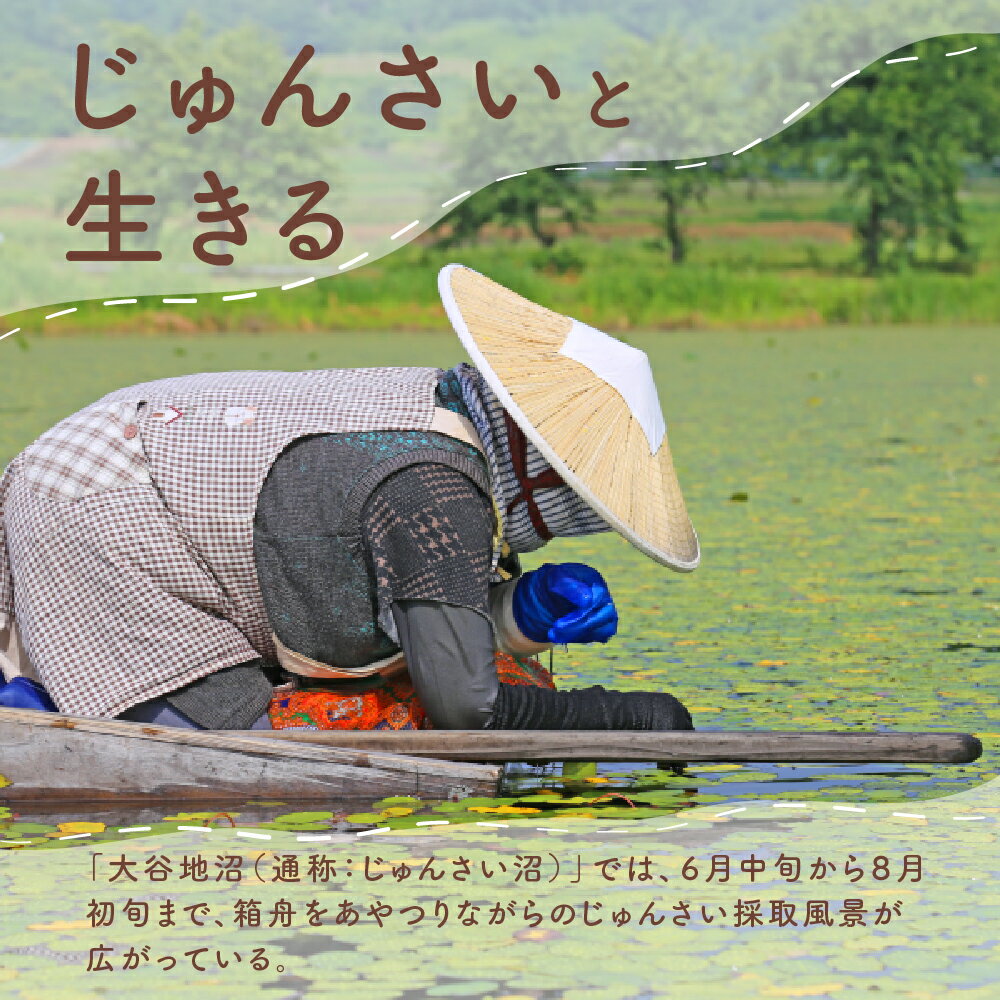 【ふるさと納税】天然 じゅんさい 水煮 瓶詰め 200g 3本セット 国産 令和7年産 2025年産 山形県 村山市 送料無料 ※沖縄・離島への配送不可 js-jsnbx3