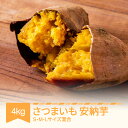 【ふるさと納税】さつまいも 安納芋 村山市産 約4kg 2025年産 令和7年産 送料無料 山形県産 ※沖縄・離島への配送不可(4)