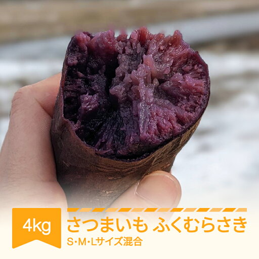 【ふるさと納税】さつまいも ふくむらさき 紫芋 村山市産 約4kg 2025年産 令和7年産 送料無料 山形県産 ※沖縄・離島への配送不可 【ふるさと納税】さつまいも ふくむらさき 紫芋 村山市産 約4kg 2025年産 令和7年産 送料無料 山形県産 ※沖縄・離島への配送不可