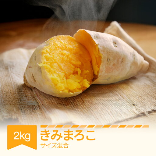 【ふるさと納税】さつまいも きみまろこ 約2kg 村山市産 2025年産 令和7年 山形県産 芋 送料無料 ※沖縄・離島への配送不可 no-spkmx2 【ふるさと納税】さつまいも きみまろこ 約2kg 村山市産 2025年産 令和7年 山形県産 芋 送料無料 ※沖縄・離島への配送不可 no-spkmx2