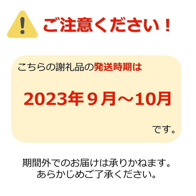 【ふるさと納税】大粒 大房 シャインマスカット 秀品 約 2kg 2～5房 伊佐沢のぶどう職人が作る 山形 の 人気 フルーツ 種なし 葡萄 【2024年9月～10月発送分先行受付】 先行予約 ふるさと納税 シャインマスカット ふるさと納税 マスカット ふるさと納税 ぶどう H141(R6)