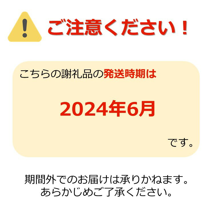 【ふるさと納税】＼アフター保証対象品／【2024年6月発送】「秀品」さくらんぼ佐藤錦約600g（L以上・150g×4パック詰）_H109(R6)