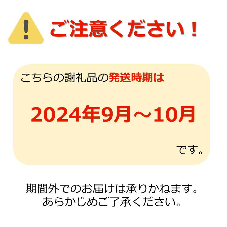 【ふるさと納税】＼アフター保証対象品／ 高評価★5 山形 の シャインマスカット 厳選「特秀」 約2.1kg （700g×3房) 大粒 化粧箱入り ギフト にもぴったり 【2024年9月～10月発送分先行受付】 令和6年 2024 H066(R6)