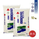 【ふるさと納税】【令和5年産新米】【特別栽培米】野川清流米「つや姫」10kg(5kg×2袋)_A084(R5)