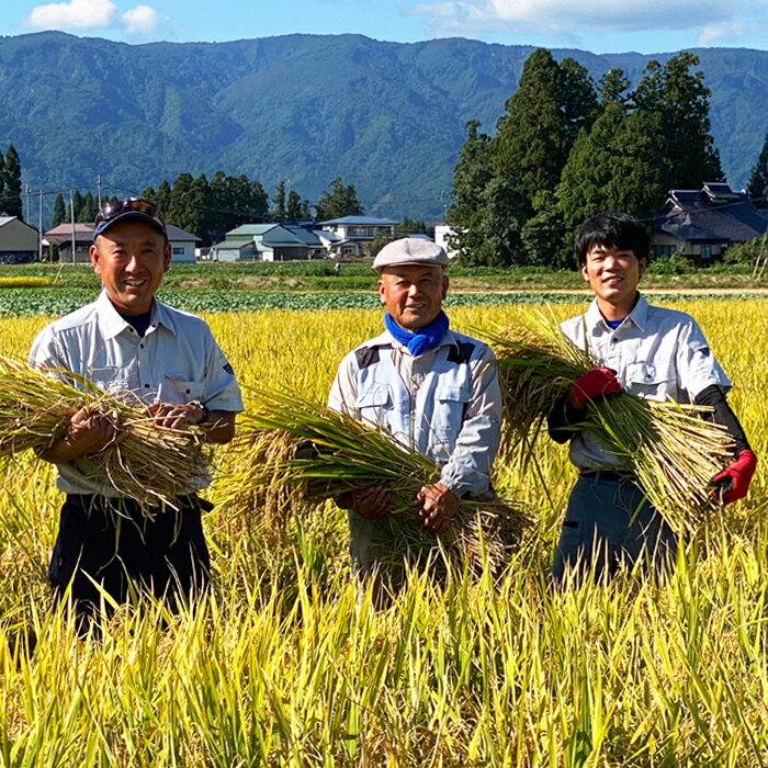 【ふるさと納税】【定期便6ヶ月】【令和5年産新米】【特別栽培米】鈴木・ファーム「ササニシキ」5kg×1袋×6ヶ月_A125(R5)