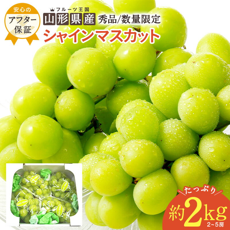 【ふるさと納税】＼数量限定／ 約 2kg (2～5房) 山形