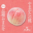 【ふるさと納税】【2025年8月〜9月発送分先行受付】「秀品」山形県産 桃(品種おまかせ)約5kg_H206(R7)