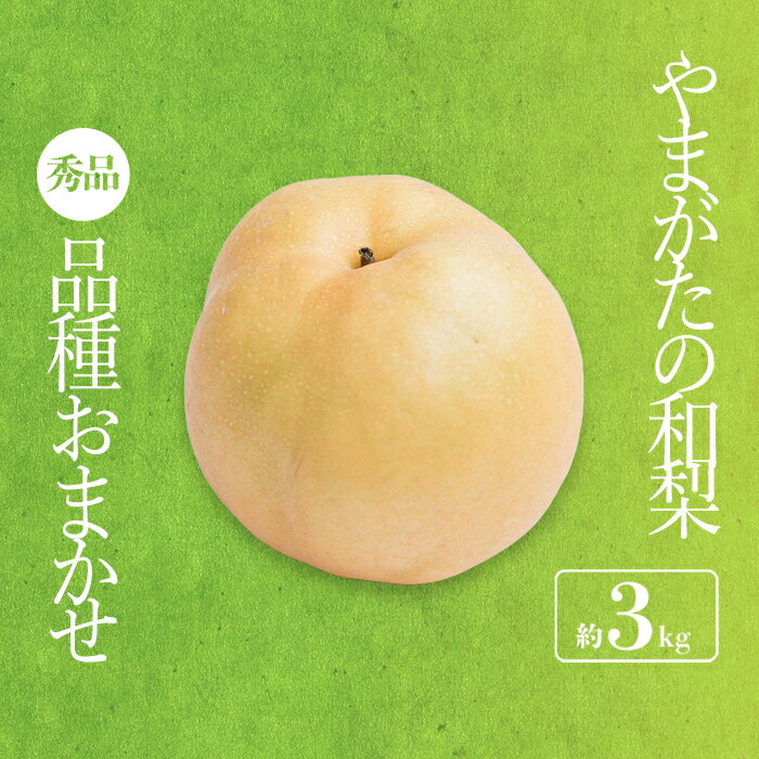 【ふるさと納税】【2026年発送】「秀品」山形県産 和梨(品種おまかせ)約3kg_H175(R8)