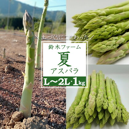 鈴木農園 自慢の 夏 旬 アスパラ 1kg ＼ 太い ＆ 甘い L～2L サイズ ／こだわりの『根づくり』で 栄養 と 甘み が 凝縮された おいしい アスパラガス は 炒め物 や サラダ 天ぷら など 様々な お料理 で活躍！ 【2024年7月～9月発送】_H117(R6)