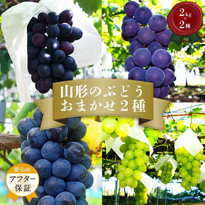 2位! 口コミ数「38件」評価「4.24」山形 ぶどう 秀品 4kg 品種おまかせ 【2024年9月～10月発送分先行受付】 先行予約 山形 ピオーネ マスカット 等から 約2kg×･･･ 