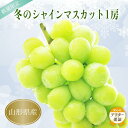 【ふるさと納税】\アフター保証対象品/ 高評価★5 山形 冬に味わう シャインマスカット 人気 の 種なし ぶどう 1房 (約700〜800g) 特別な貯蔵方法...