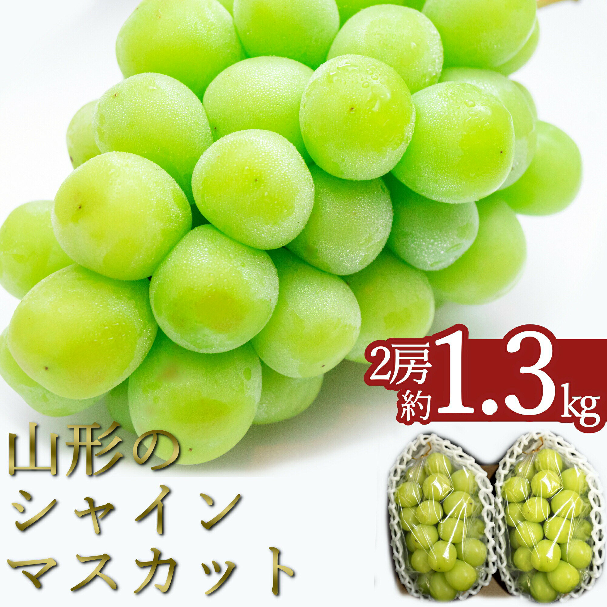 ＼高評価★4.7以上/ 約1.3kg 2房 山形 の シャインマスカット 人気 種なし 高級 ぶどう [2024年9月〜10月発送分先行受付] 先行予約 ふるさと納税 シャインマスカット ふるさと納税 マスカット ふるさと納税 ぶどう ふるさと 令和6年 2024 H065(R6)